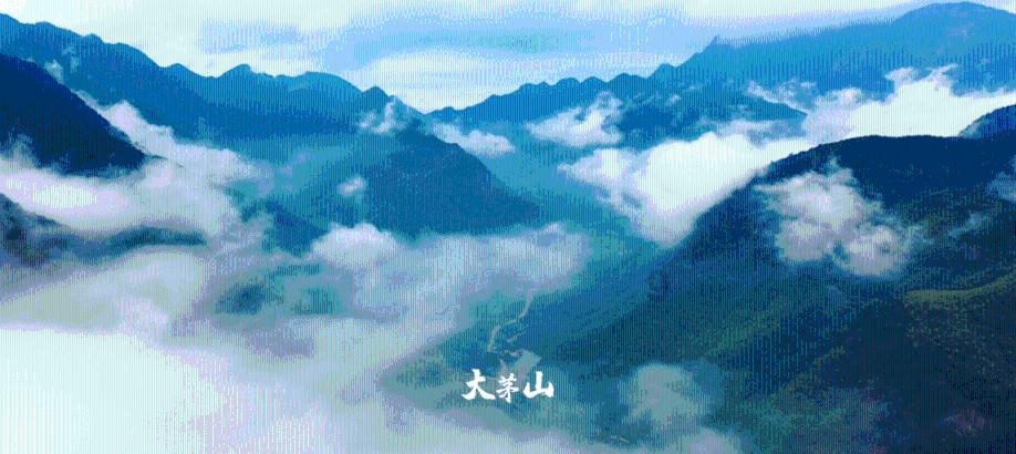 牛仔复仇记