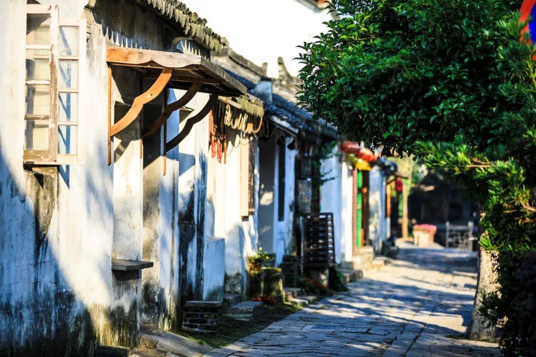 庆余年2预约量破一千万，新增的7个女性角色里，王楚然竟成最美女配